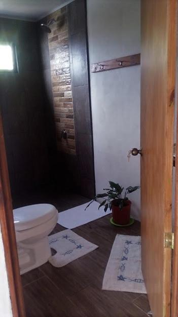 Casa Morella モンテベルデ エクステリア 写真